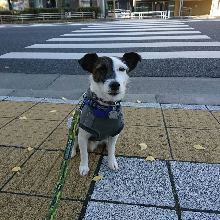 5ea62854 acb9 4789 a427 e27e9a44a680 1510354371656