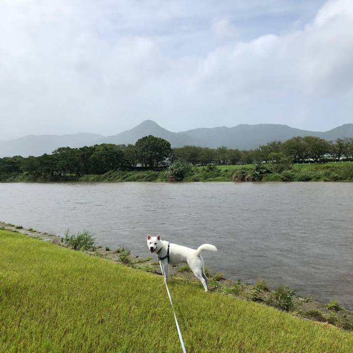 5ea6548e 2bcc 497b b385 82385d6cbee1 1599453534268