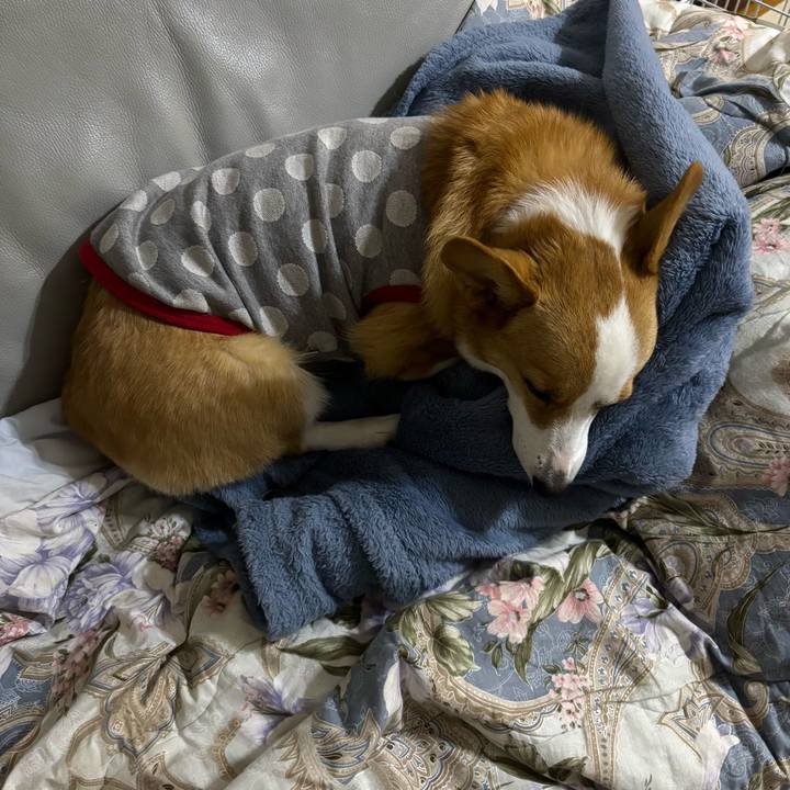 5ea66b63 3335 4ddf 8fbb dd3ae215a69c 1765042103081