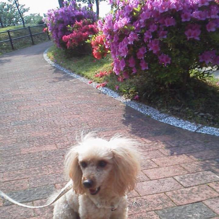 5ea6ba6c 12ef 4b53 a197 afc062c6aaf7 1524827192437