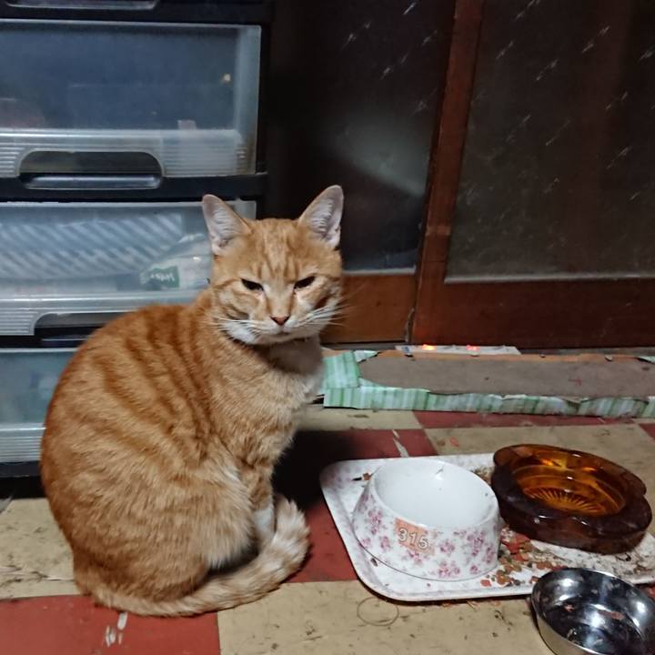 5ea6bdd4 8fa5 4bb9 9d3f a26cbeb42e5f 1571342241580