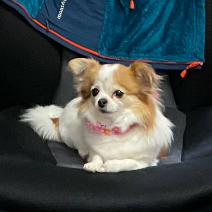 5ea73cd3 ffbf 4112 8e33 70922953b45f 1587165711293