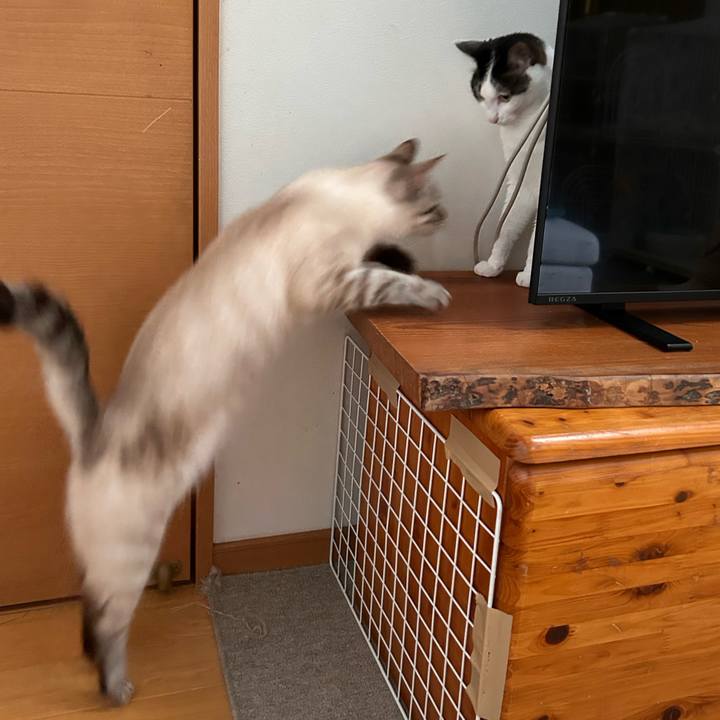 5ea73f59 80ed 4da9 a6ad bbdc1029612e 1751751117817