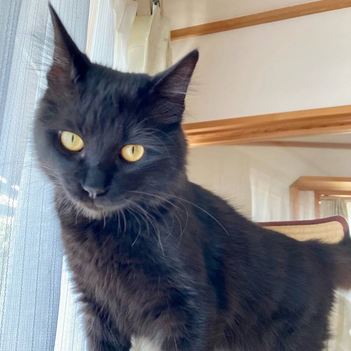 5ea7723a ce4b 4391 9275 363fdead9fcd 1713533936314