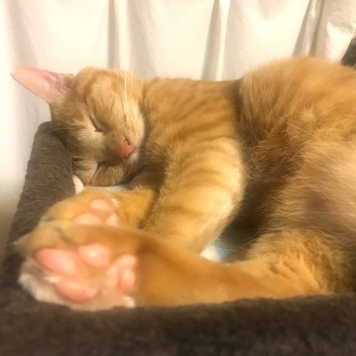 5ea7aed6 aea2 4108 ac8e 8adcec9896e9 1593912568627