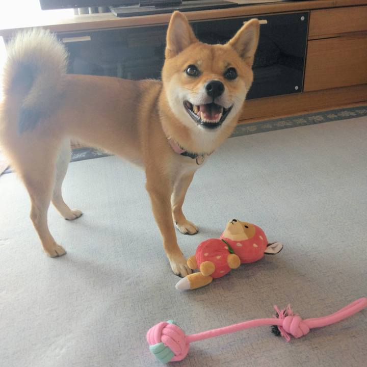 5ea7d3d2 719f 4329 ac36 5c7415adee0a 1756893260257