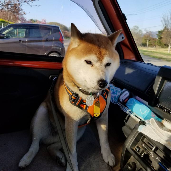 5ea7fe64 0148 4ccf ad49 4d52e68e3b85 1618995114578