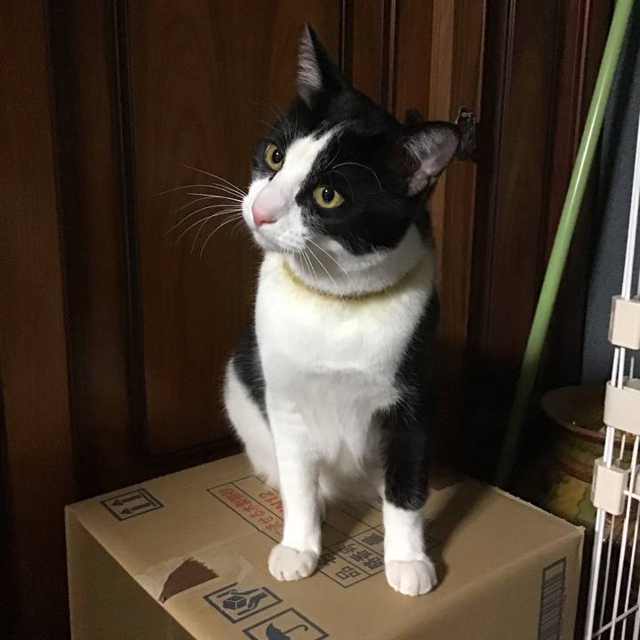 5ea83bc6 cabe 4a66 975d e955a00d2aa4 1649585006759