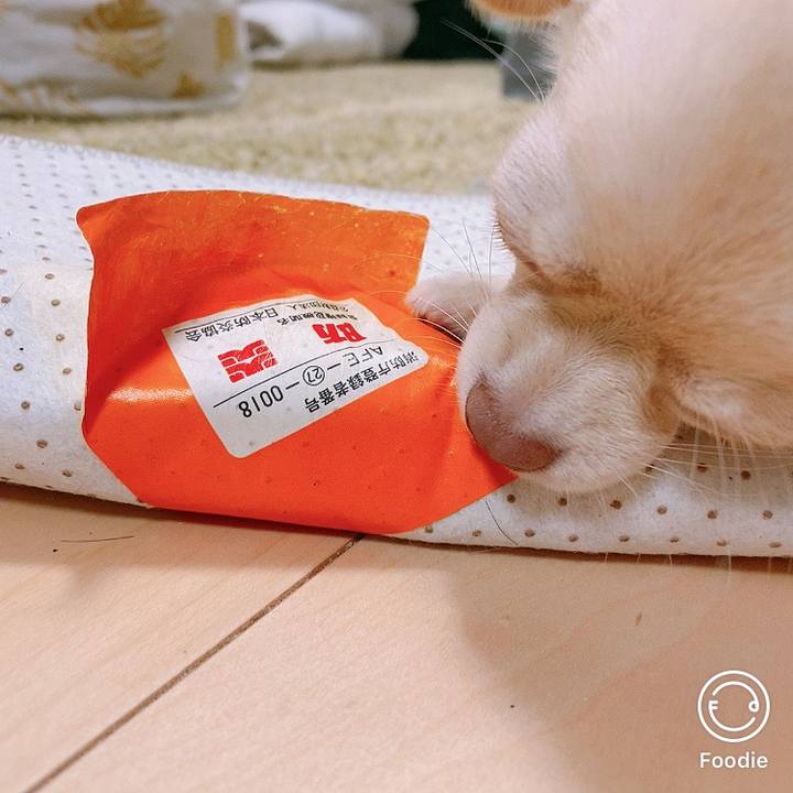 5ea865dc 785a 4a2d 88d2 705c0665a5bf 1598266840907