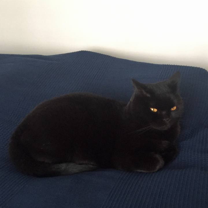 5ea86a07 c8ef 4c35 b672 ea11941431c1 1586319655090