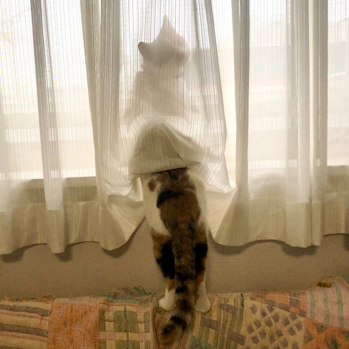 5ea880c0 38c5 44f6 8374 7f57f21dea97 1579735934489