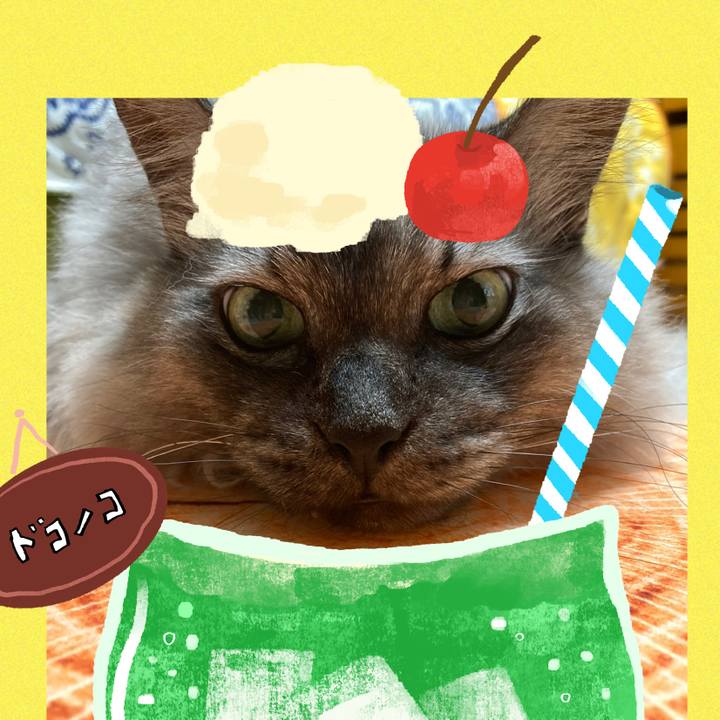 5ea88122 a687 43c4 ac8f 2fecb02f6469 1755475724893