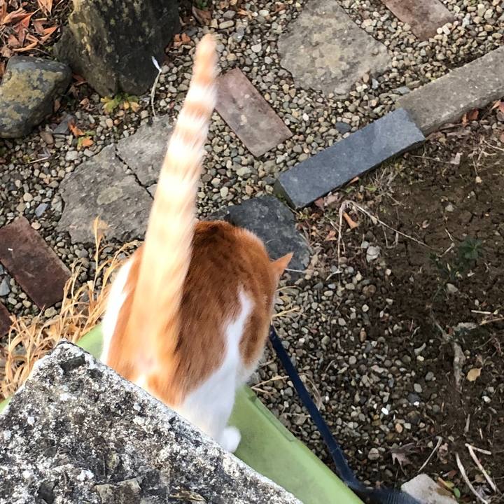 5ea8aedb 4be2 4132 b8fa 89f749f51147 1551450810327