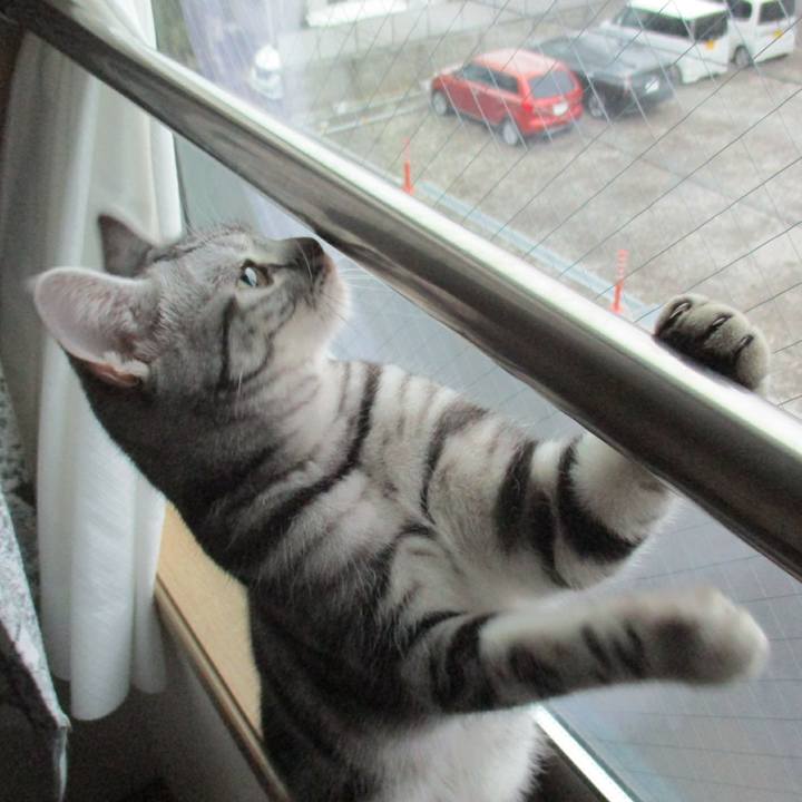 5ea8cc59 c7c5 4fa0 a424 c5d05f94f168 1549776345795