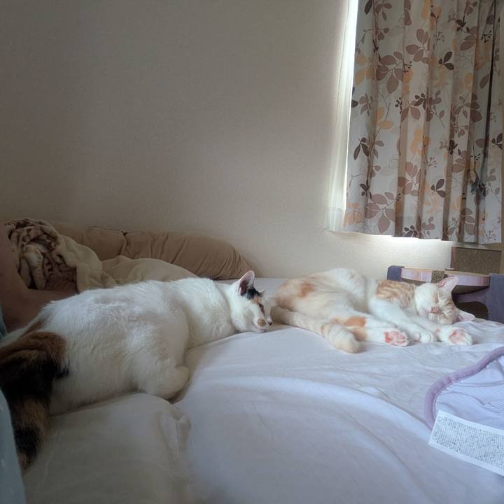 5ea91146 53e4 4cdd b74c e4d2bd599bbf 1755898578532