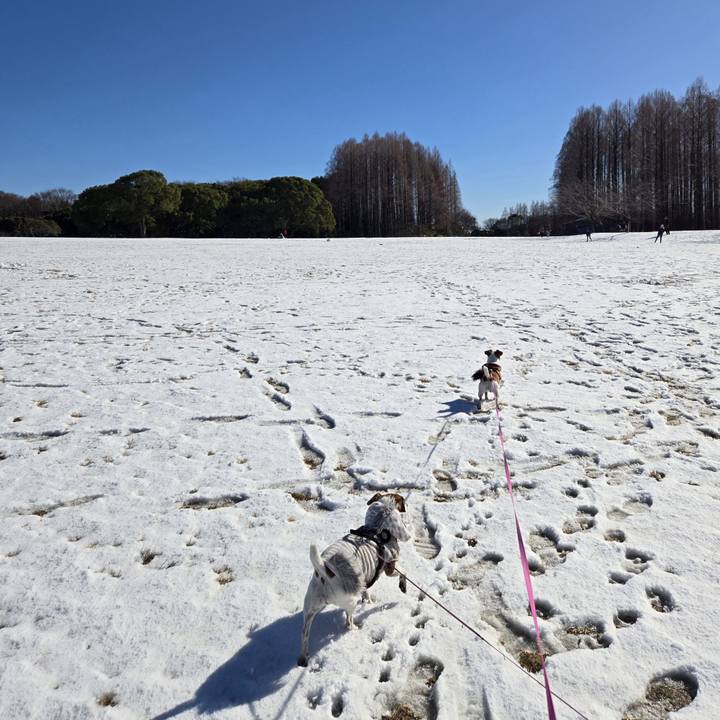 5ea919a9 4632 40b4 bf60 351e02fdf917 1767411976200