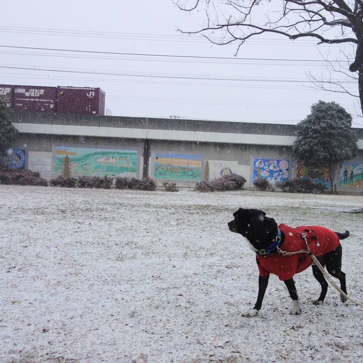 5ea92391 9232 4f3e a9f5 37d5b26263b2 1675988819499