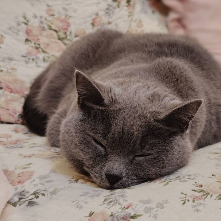 5ea95f8c 074a 423b bf0a 0977754cf04c 1774234948629