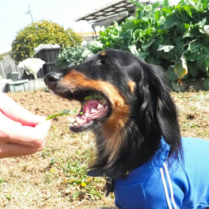 5ea96329 cbc8 4cb0 9f26 a007e04667ba 1584773796004