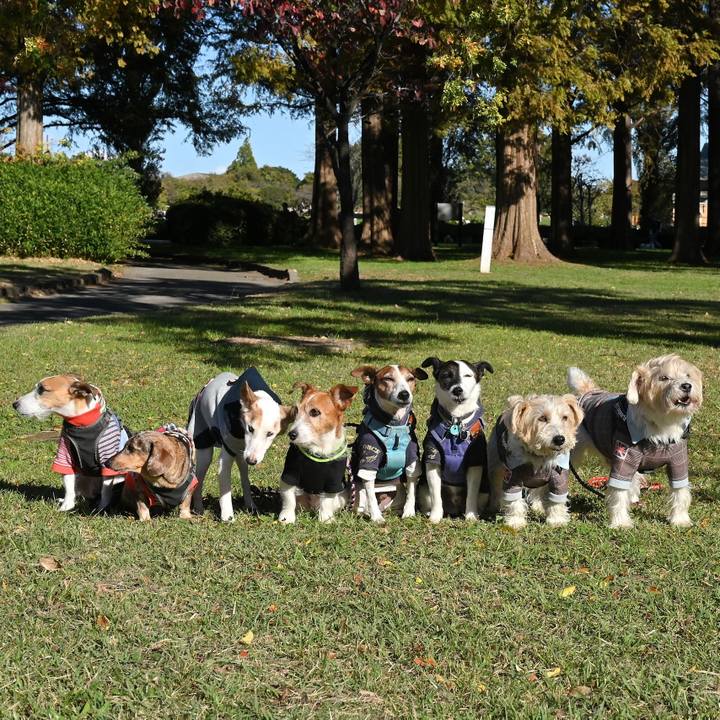 5ea96da1 fde3 492a b9cc 0cdfdddbf0d5 1762173283038