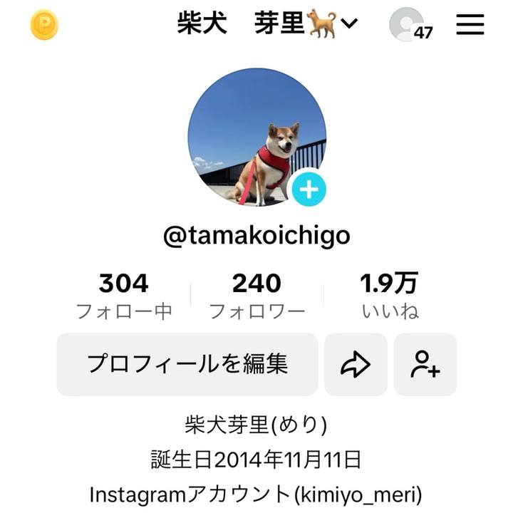 5ea96e6c e18c 4e6e ac3f c27556faab99 1733810371712