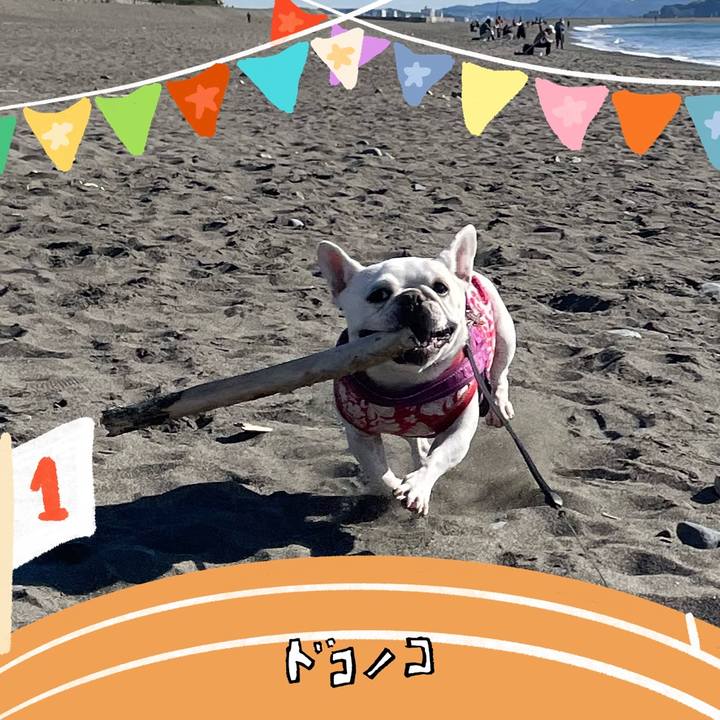 5ea97042 4361 4e37 b27e 30ddb1011028 1761260977246