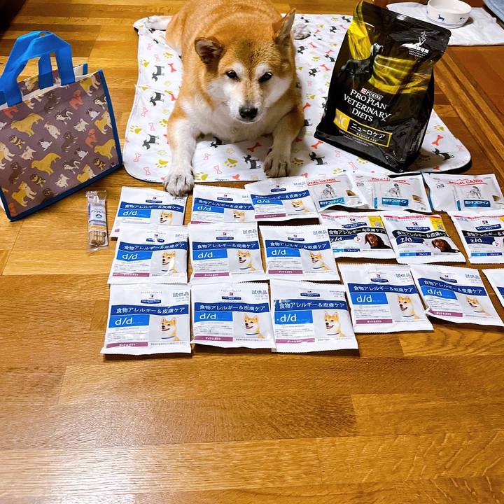 5ea98eaa 3254 438f a442 a5da5f260bea 1659100269994