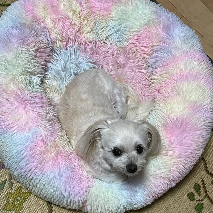 5ea9c51d afe6 4d83 9bcc 9f31dcf2c9d3 1696328995397