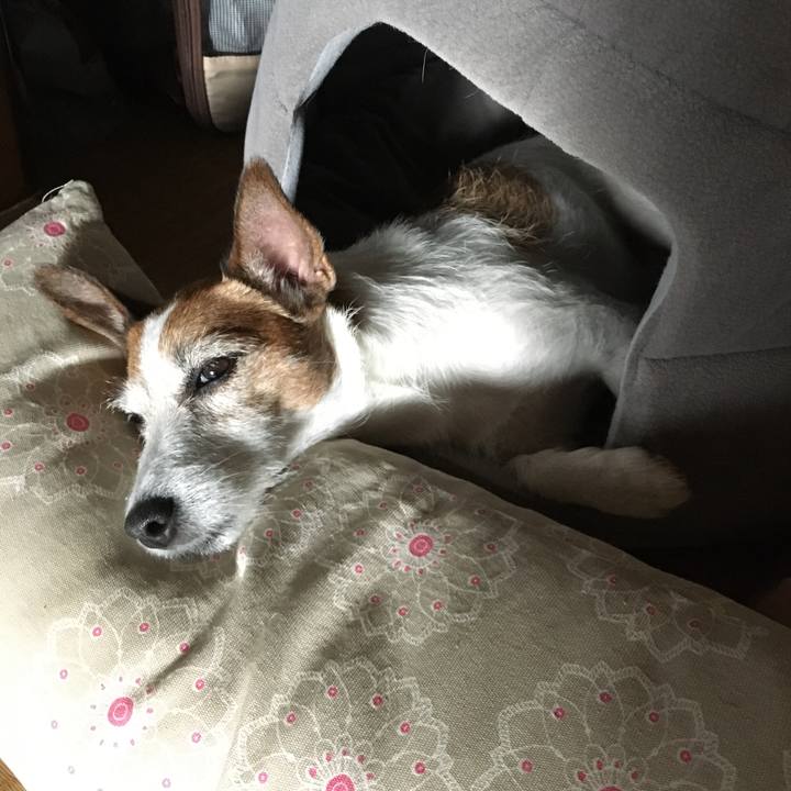 5eaa0be1 6cc0 4d17 8546 55cade65089f 1625275655772