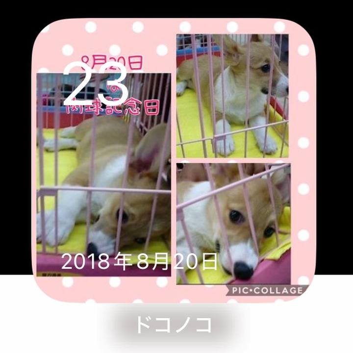 5eaa20da be47 40f6 bd5a 0560ca06e1c5 1755915654653