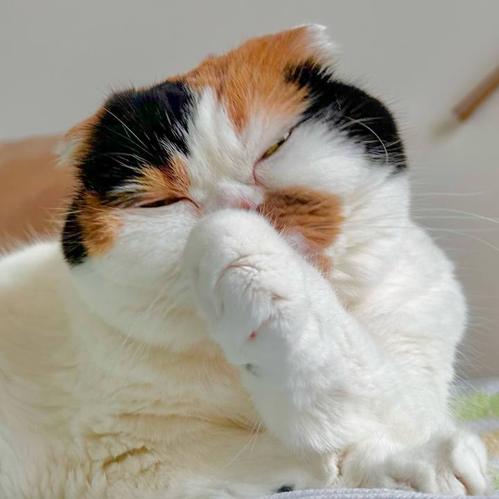 5eaa28c7 2829 43a5 b896 b6cdb7af0c6e 1704408822153