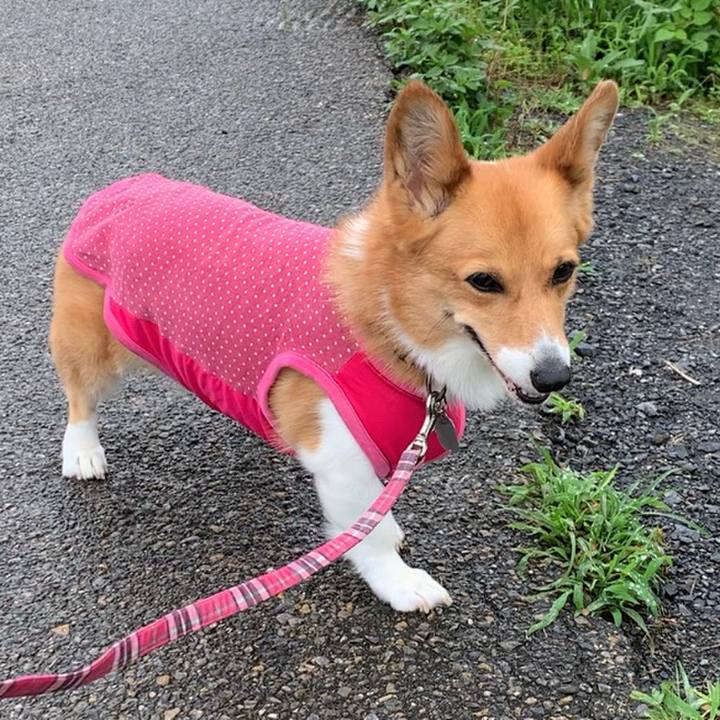 5eaa726b 6bc4 418a 8da7 cfd2eaaea2a1 1625715926918