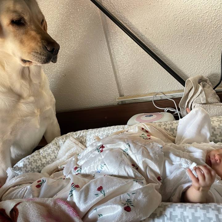 5eaa8e23 335e 4731 adee 02a805b5ce96 1711956184097