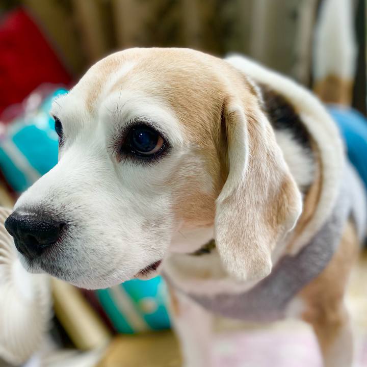 5eaabb6a fe52 45c8 8127 4795164d427d 1642568813910