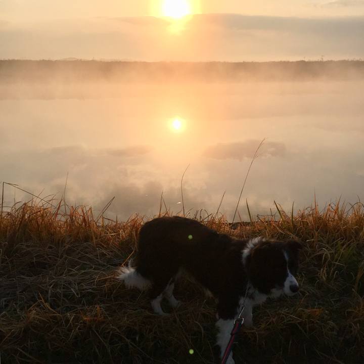 5eaac07e e944 4a05 877d 6a141382afa1 1581118310736