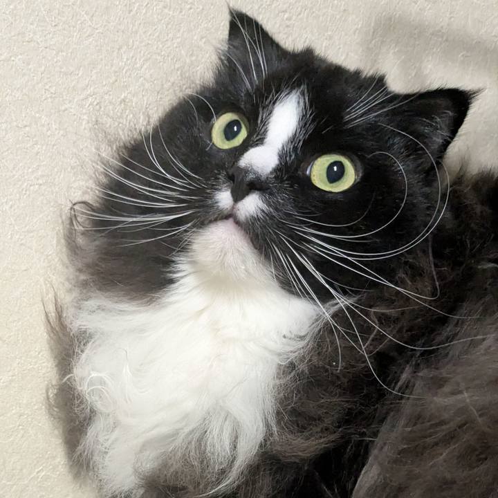 5eaac319 c12d 4a1c 8d55 19ad685f7879 1739101271415