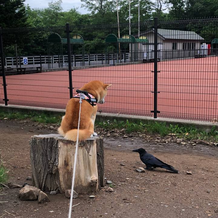 5eaae1d8 0342 4e17 b17a 347d865b5c52 1530240759923