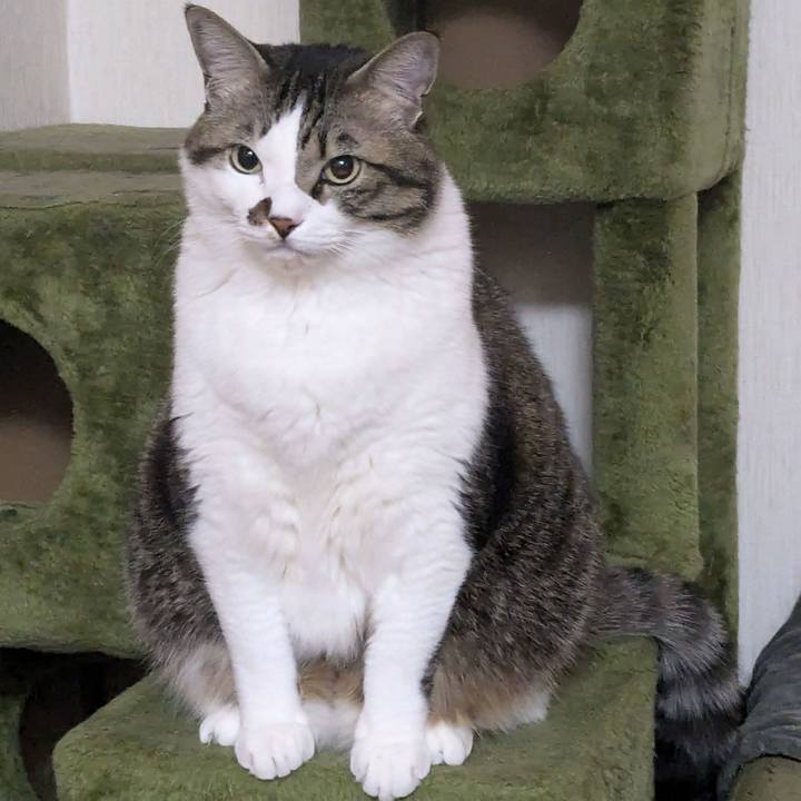 5eaae5ff cca6 4243 9ef0 4886ebcfe51c 1734819658808