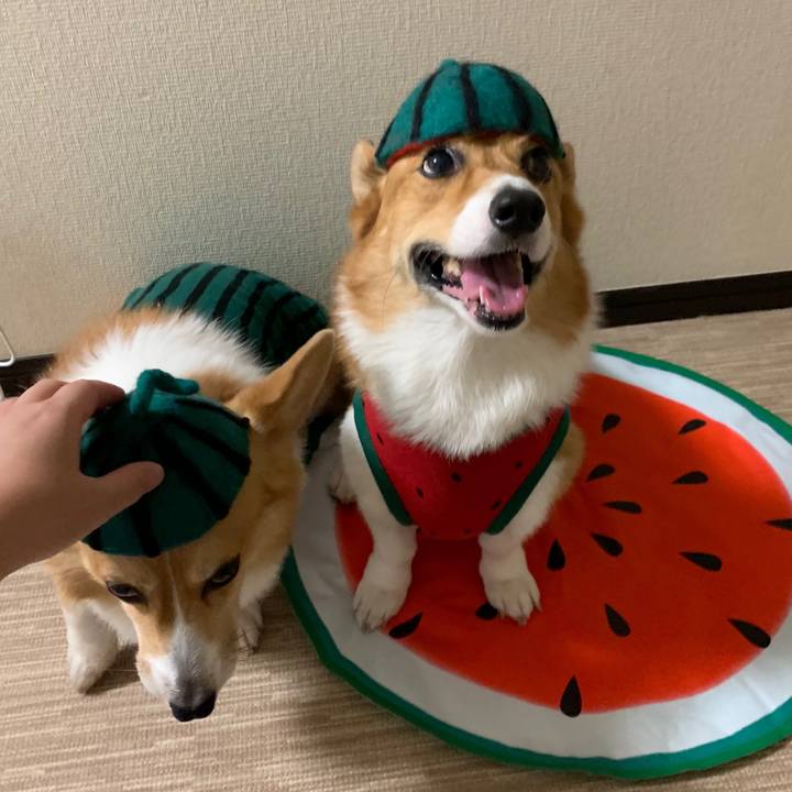 5eab1746 e335 4d4f 864b cd1d68d8cfdb 1564709065043