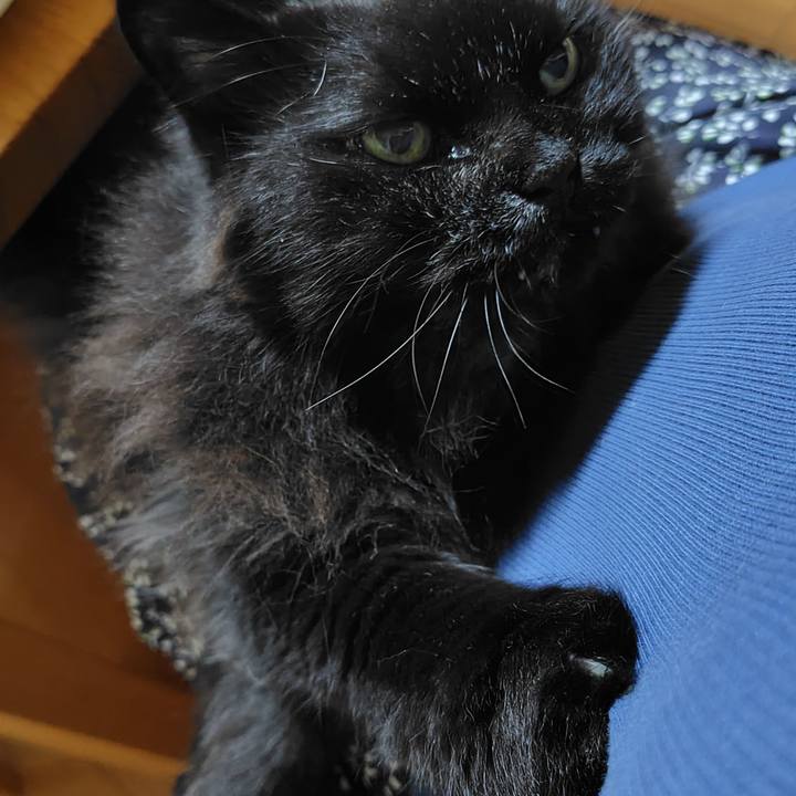 5eab2f5a 8260 4695 9b35 c519508efe1b 1754736783058