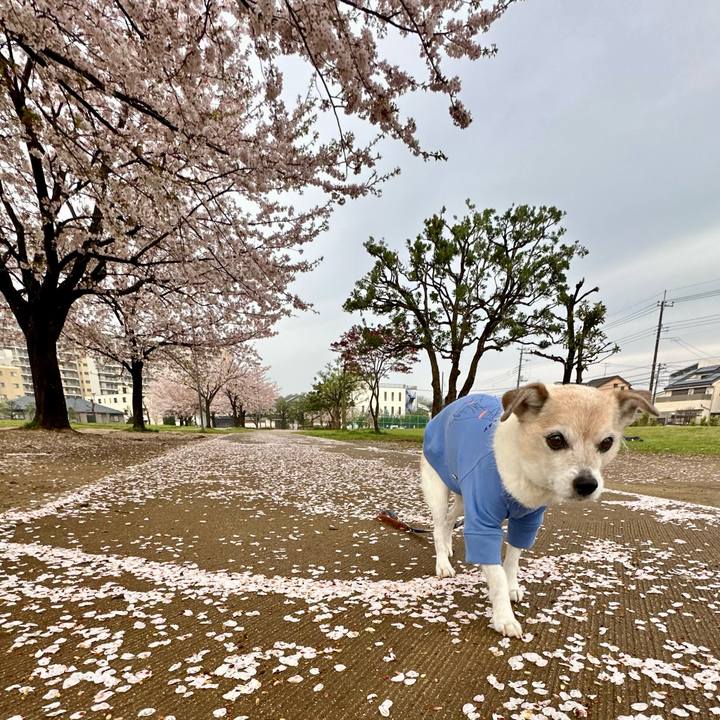 5eab3562 7426 4cf9 b382 090b29fe4a00 1744344006770