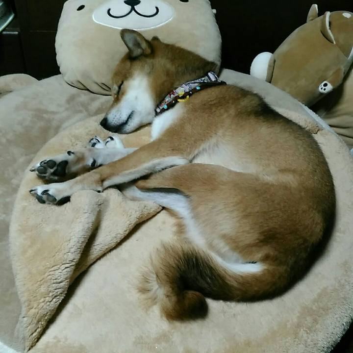 5eab6a32 267e 4efc b40d 7974c9329442 1536411966522