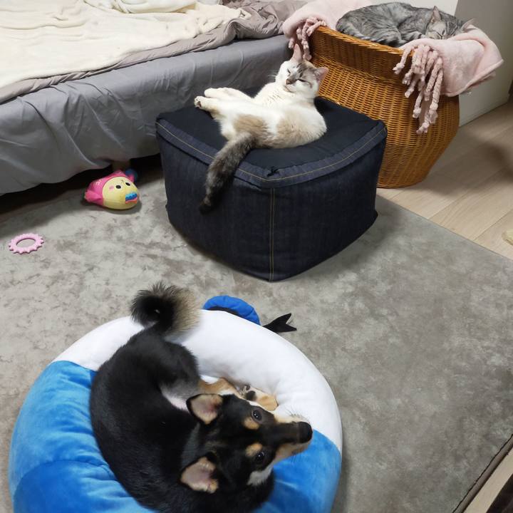 5eab8427 3fa3 42d0 b13a 470924efeabb 1600858947578