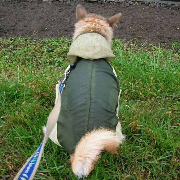 5eab87f8 532d 4882 a3c2 e5c6507b8de1 1561620272271