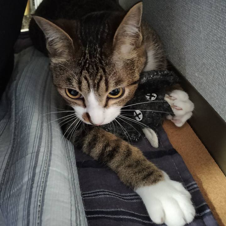 5eabb27d b89a 429f 90cc 418d0faed4db 1685570958935