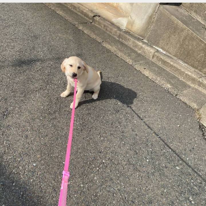 5eabb56e a086 46a5 8889 e858e4691c2c 1645007150158