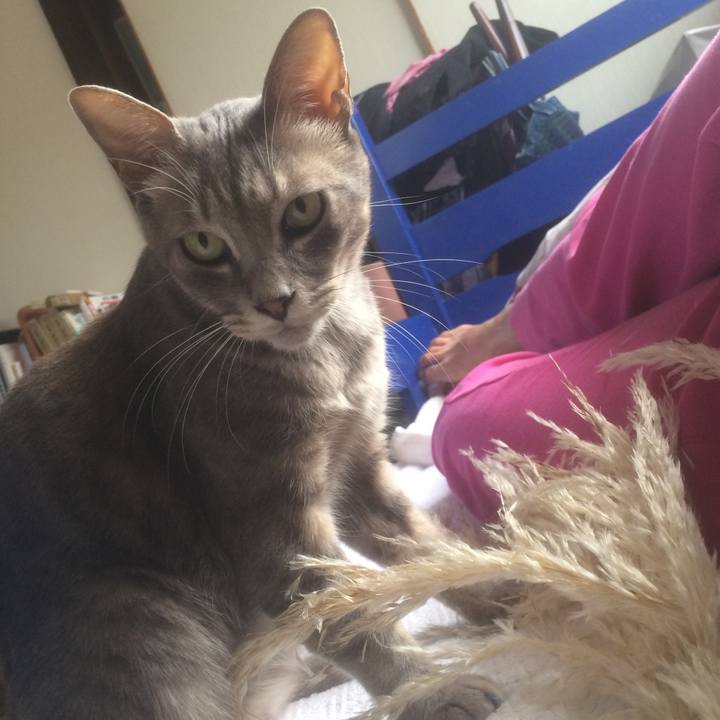 5eabc9f7 091f 41e9 aa72 56834982fe9c 1536921010776