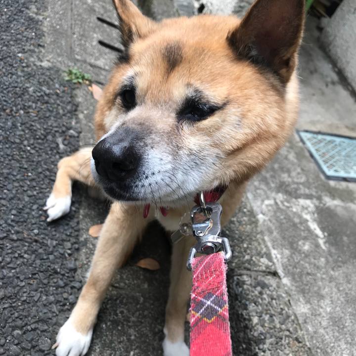 5eabe34b 9190 4877 889b 8c82bef5bc01 1526598479871