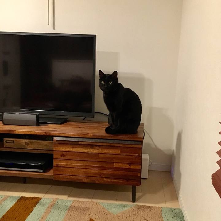 5eabf472 49a9 4c97 9b7e 56feea4444c6 1543666299588