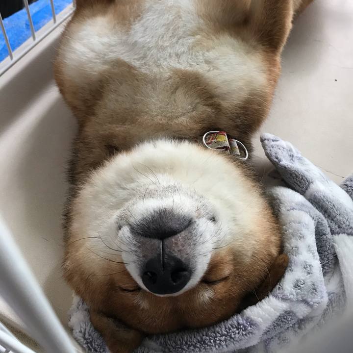 5eac082d 10f0 4103 9256 92e47fce1b8e 1590548804928